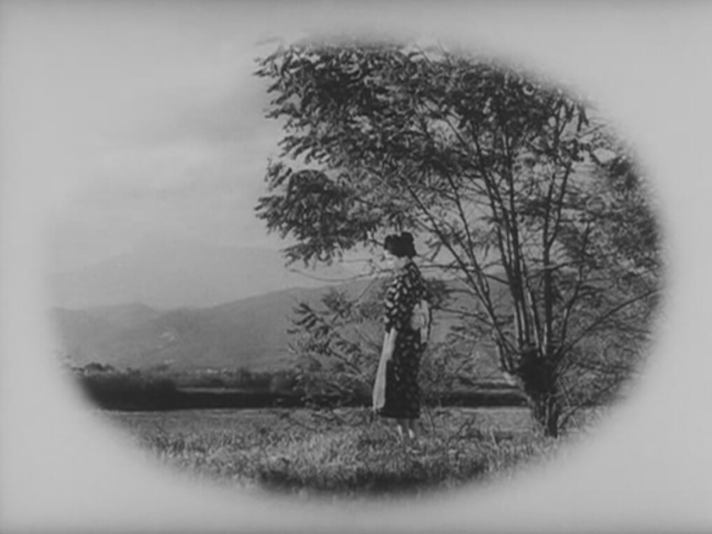 野菊之墓剧照的剧照