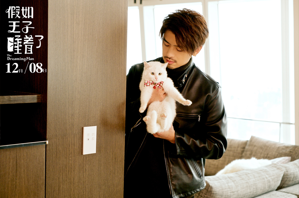 假如王子睡着了剧照的剧照