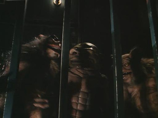 马桶妖怪3剧照的剧照