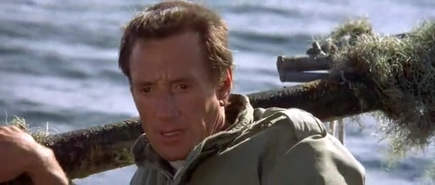 大白鲨2剧照的剧照