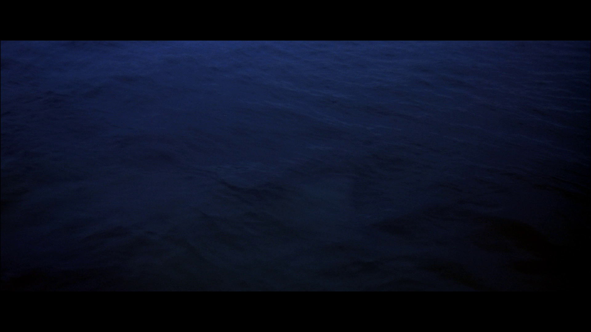 大白鲨2剧照的剧照