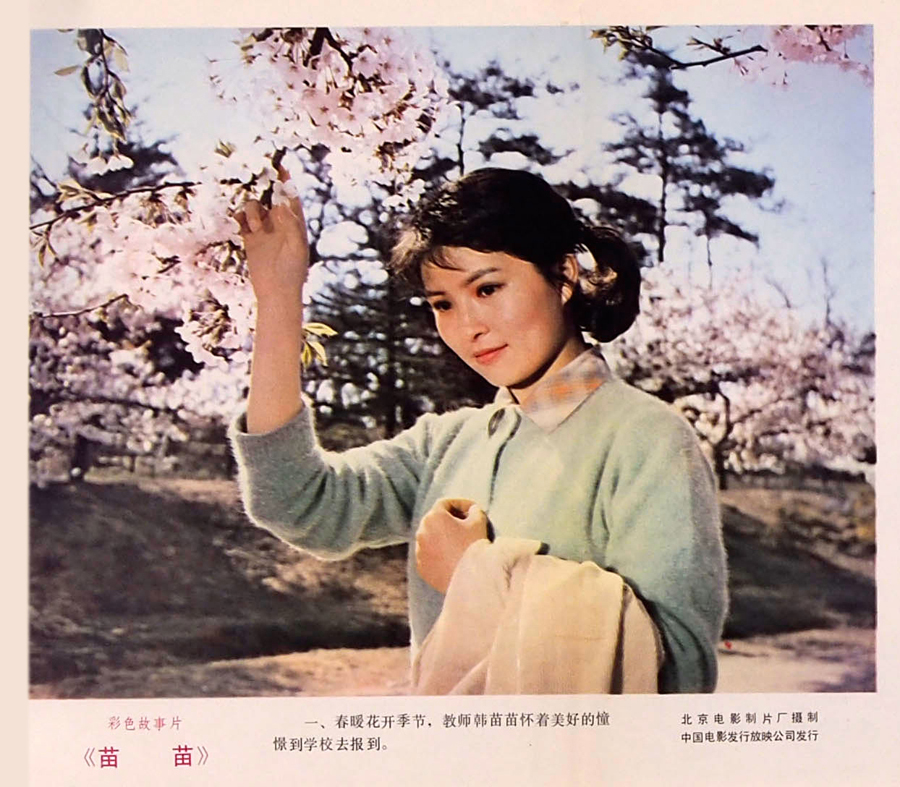 苗苗剧照的剧照