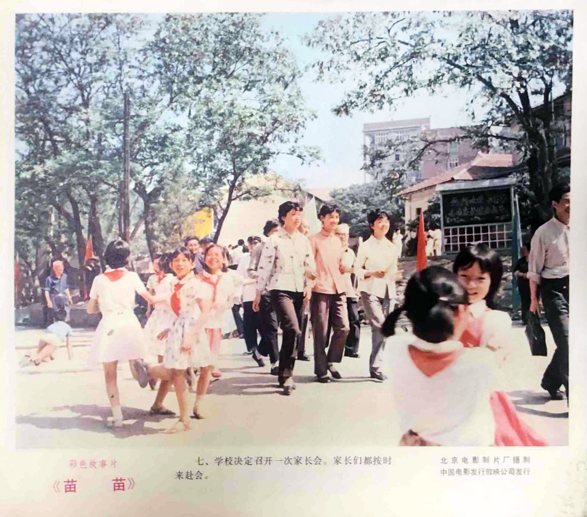 苗苗剧照的剧照