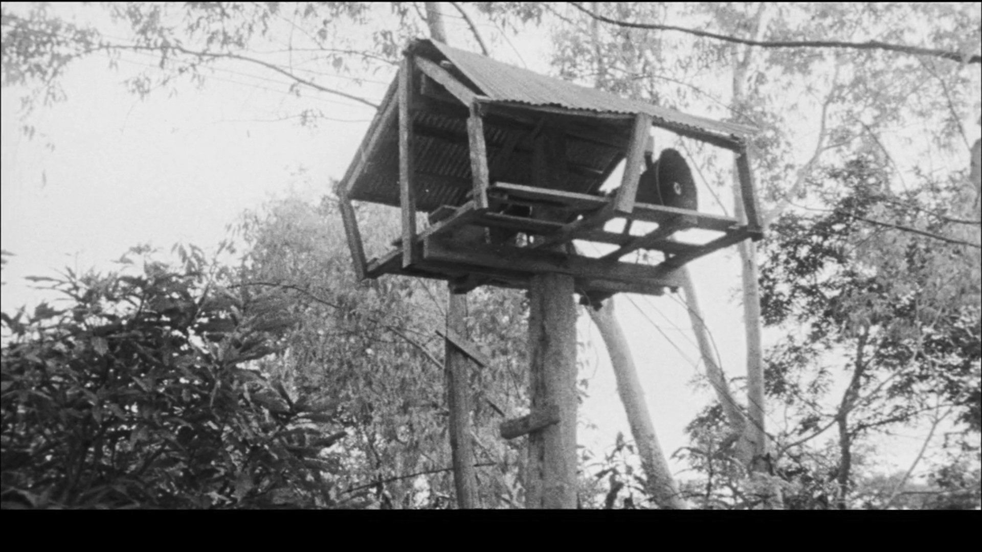 正午显影剧照的剧照