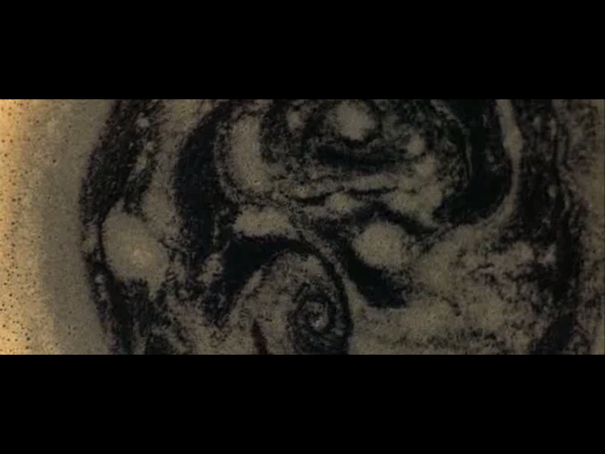 我略知她一二剧照的剧照