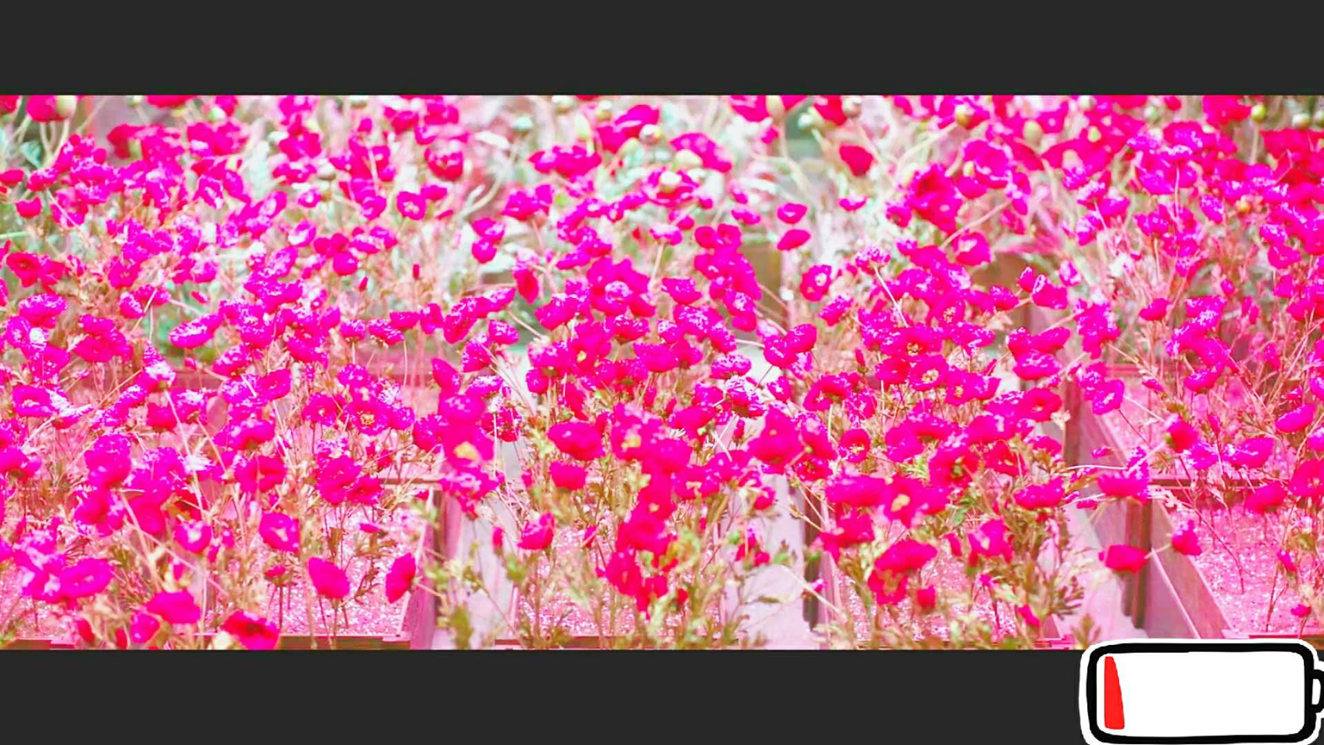 一定要抓住剧照的剧照