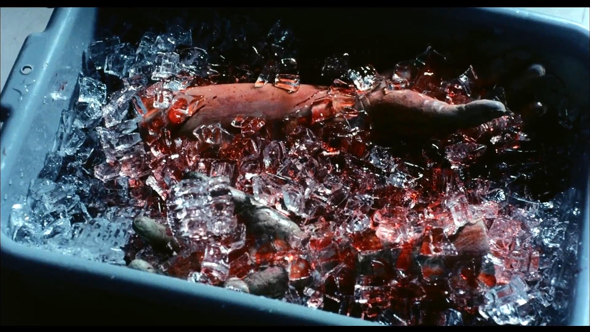 恐怖鸡剧照的剧照