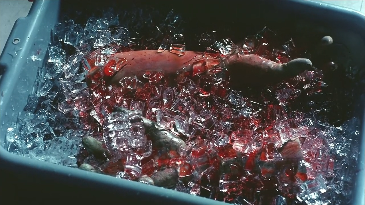 恐怖鸡剧照的剧照