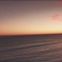 艾维奇的真实故事剧照