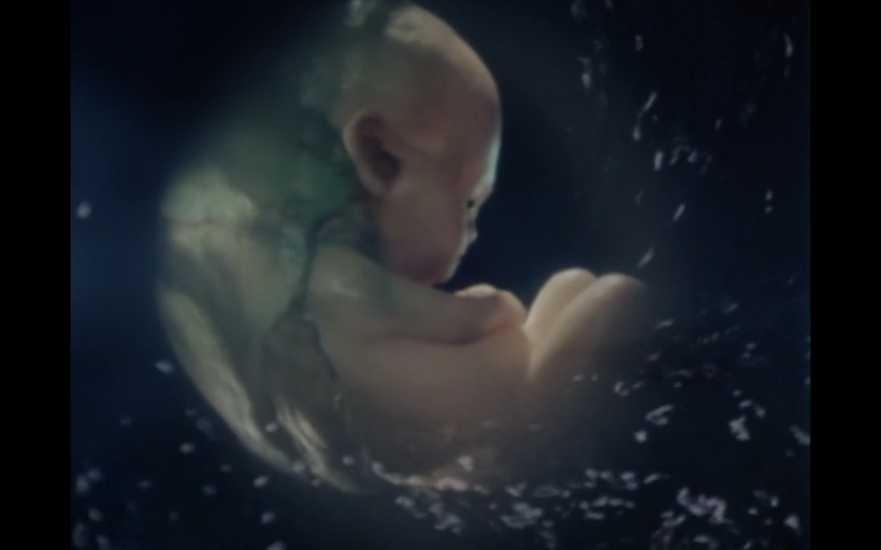 真·假面骑士 序章剧照的剧照