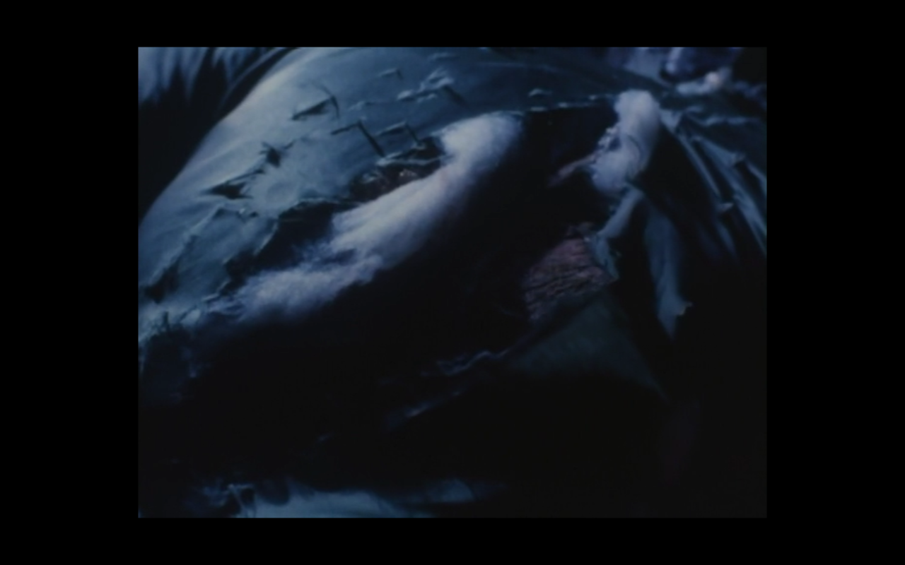 真·假面骑士 序章剧照的剧照