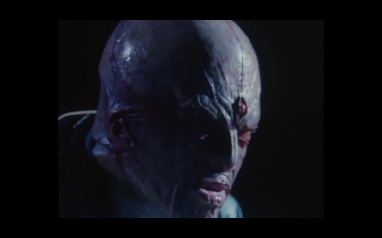 真·假面骑士 序章剧照的剧照