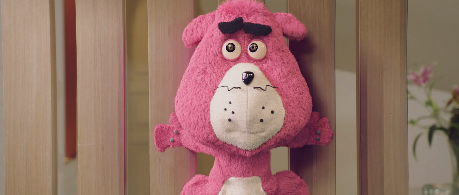 大毛狗剧照的剧照