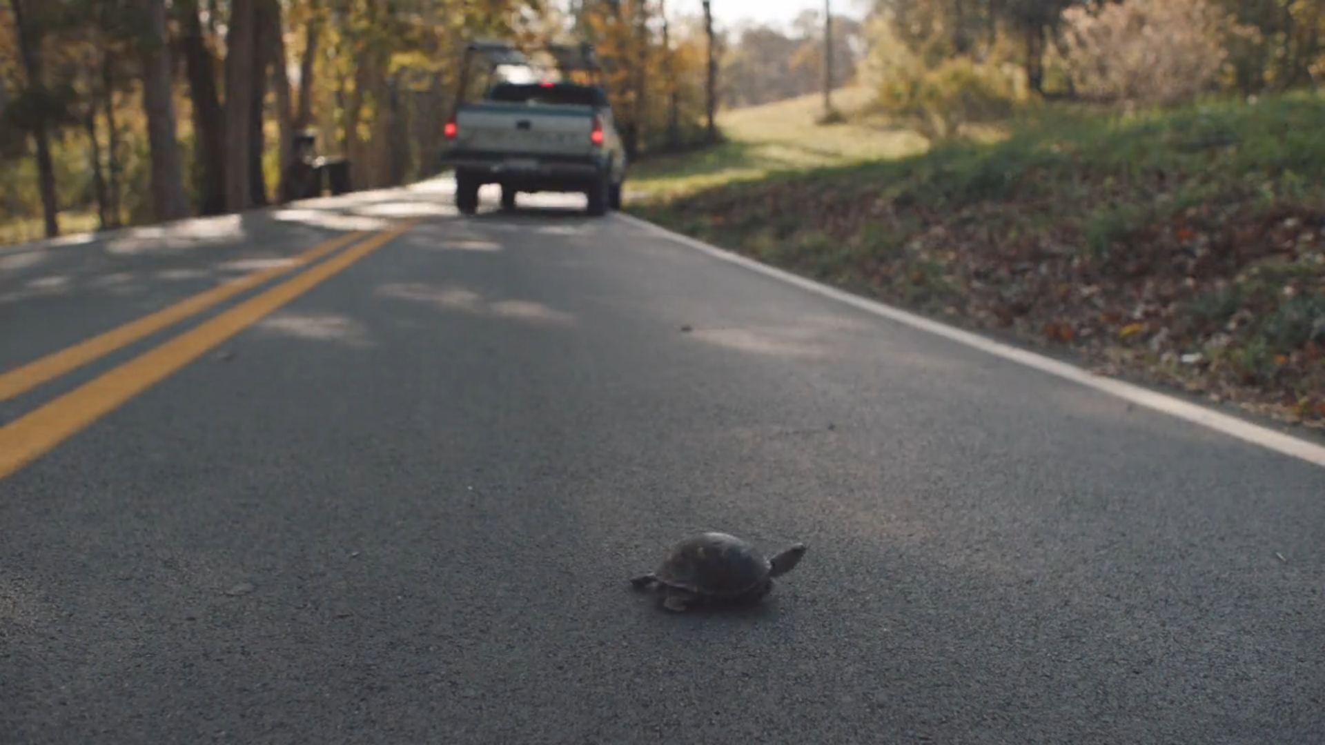 双套结杀手剧照的剧照