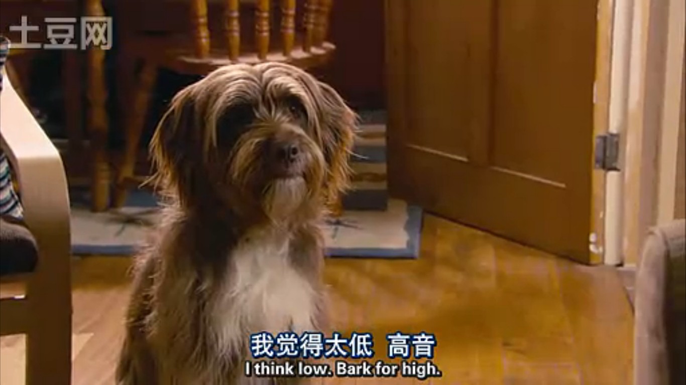 圣公会主学堂剧照的剧照