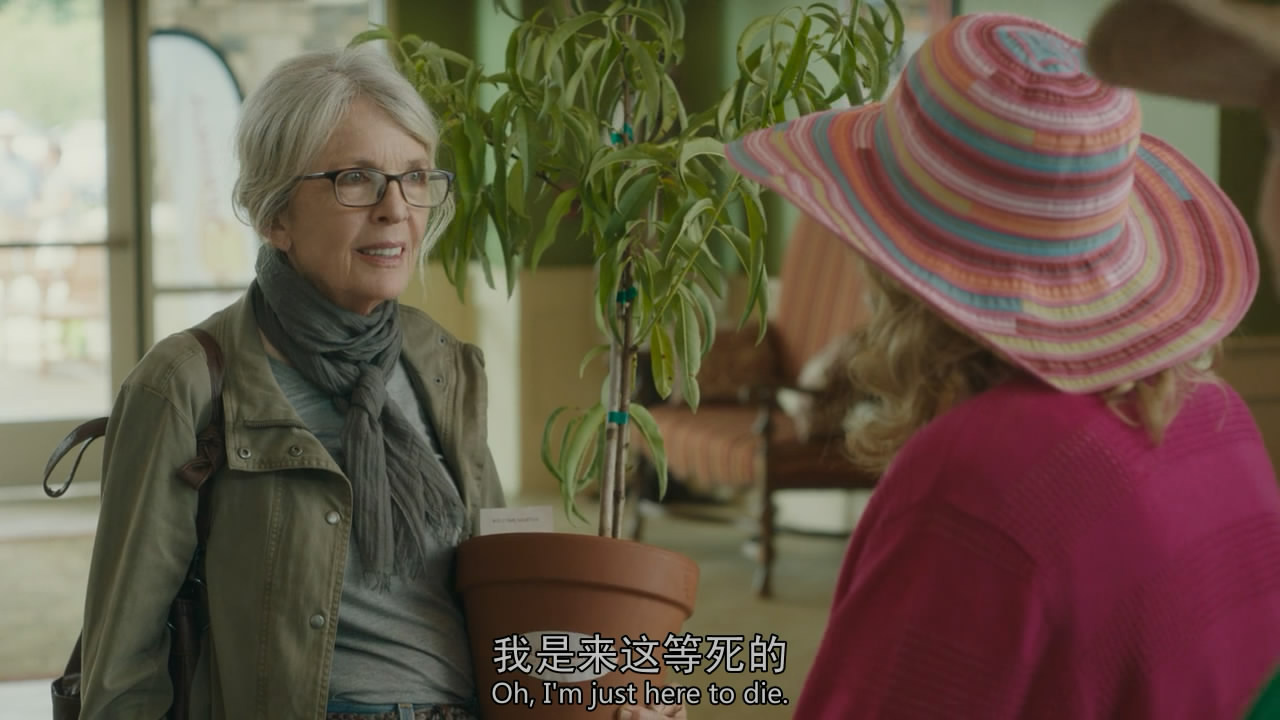 老太啦啦队剧照的剧照