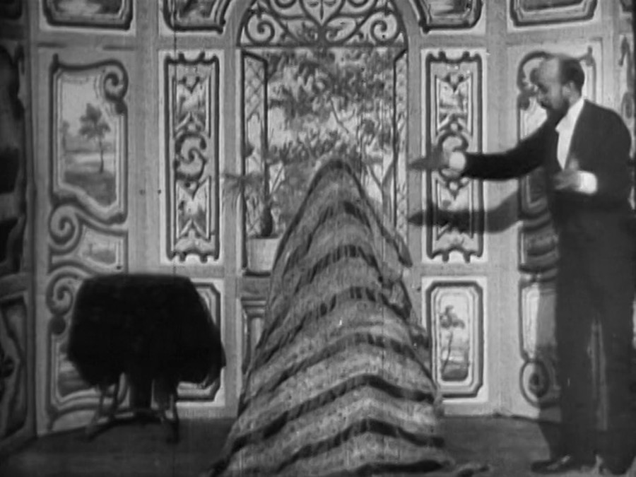 胡迪尼剧院的消失女子剧照的剧照