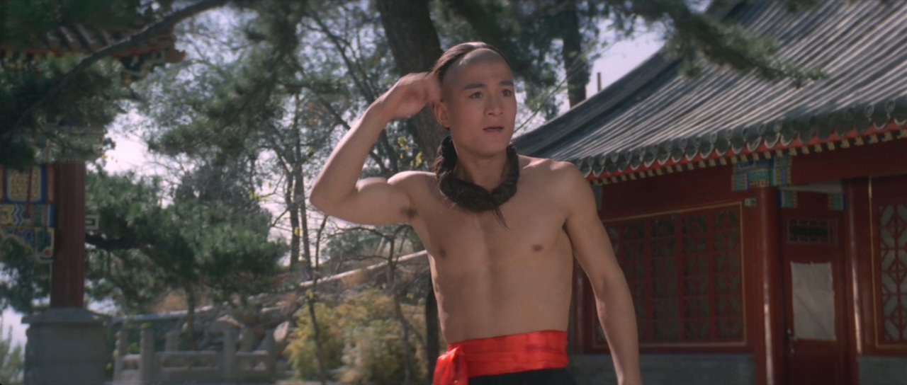 南北少林剧照的剧照