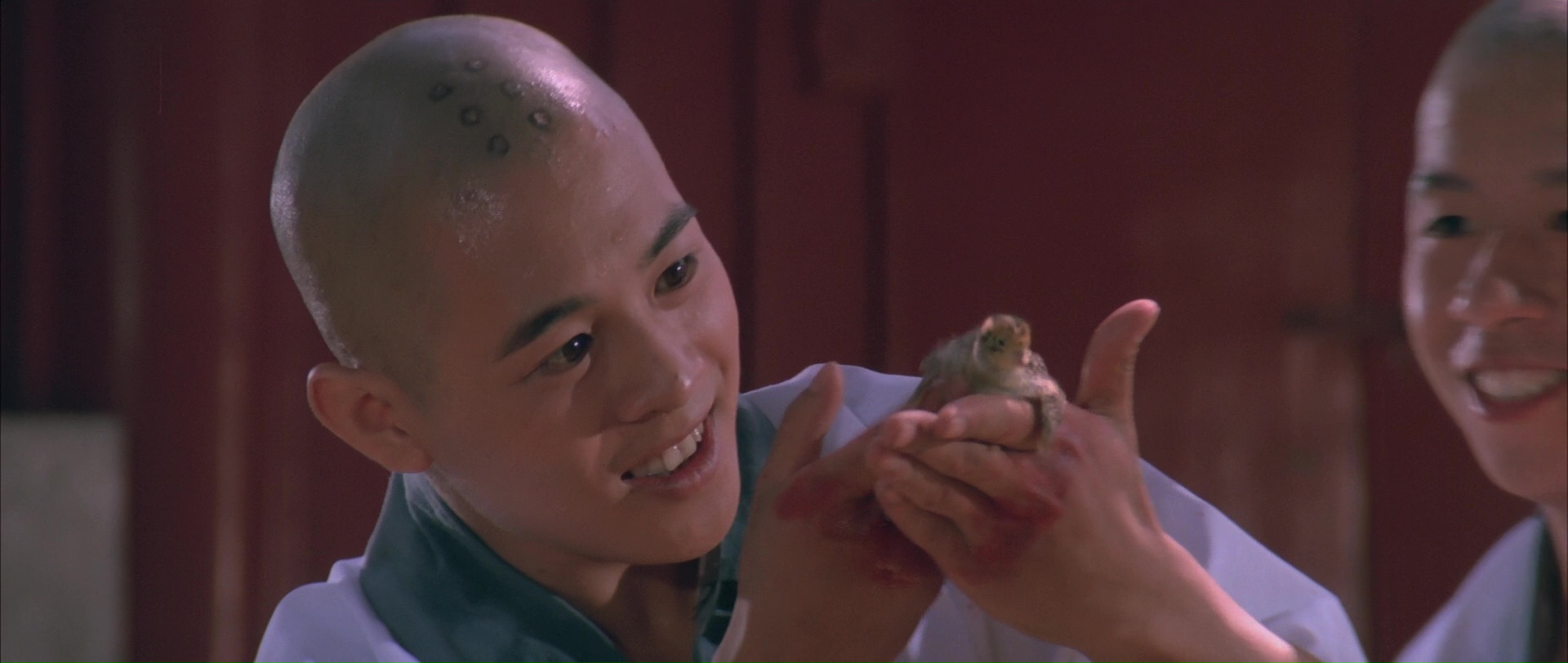 南北少林剧照的剧照