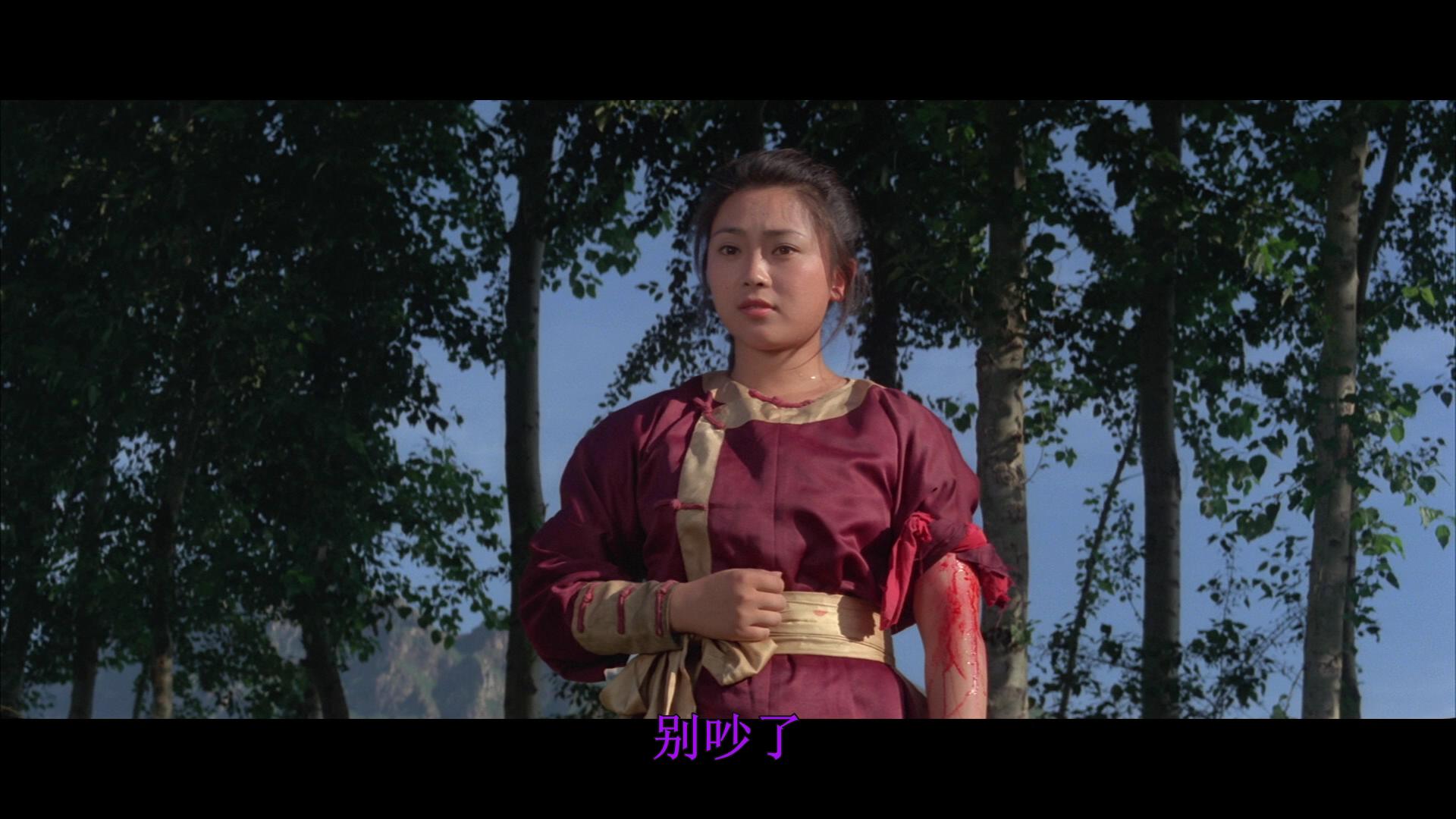 南北少林剧照的剧照