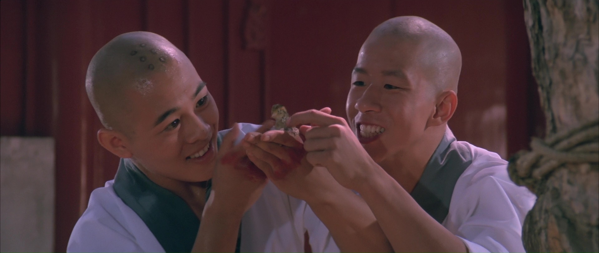 南北少林剧照的剧照