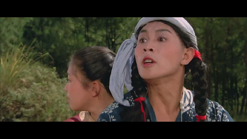 南北少林剧照的剧照