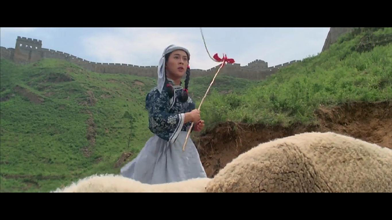 南北少林剧照的剧照