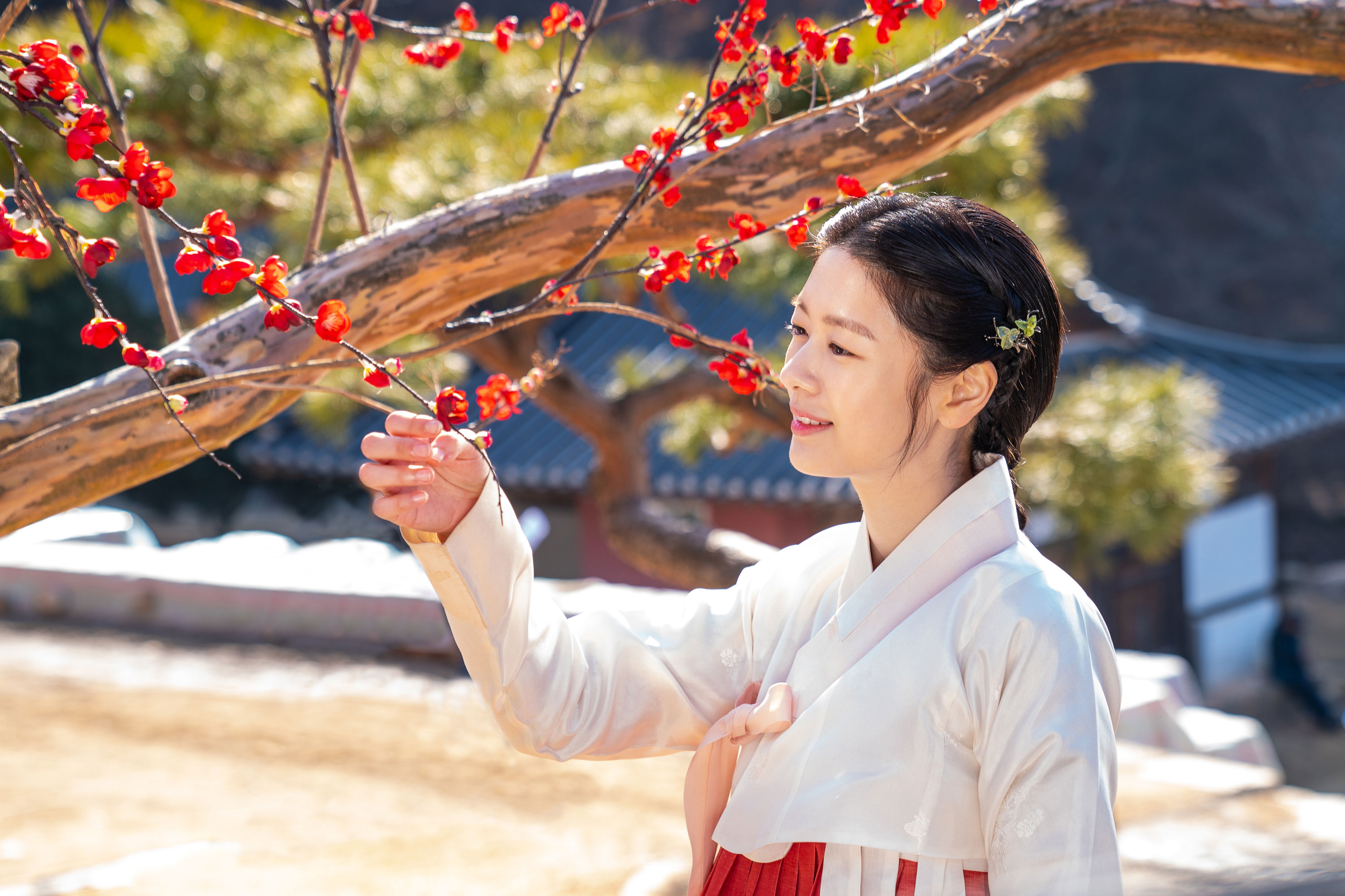 妓房少爷剧照的剧照