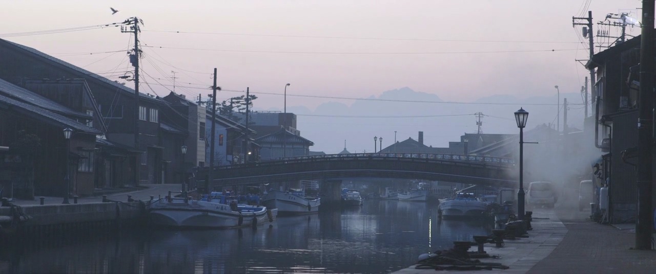 真白之恋剧照的剧照