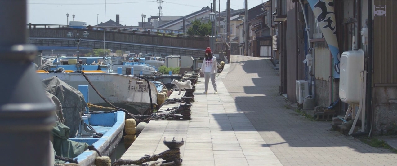 真白之恋剧照的剧照