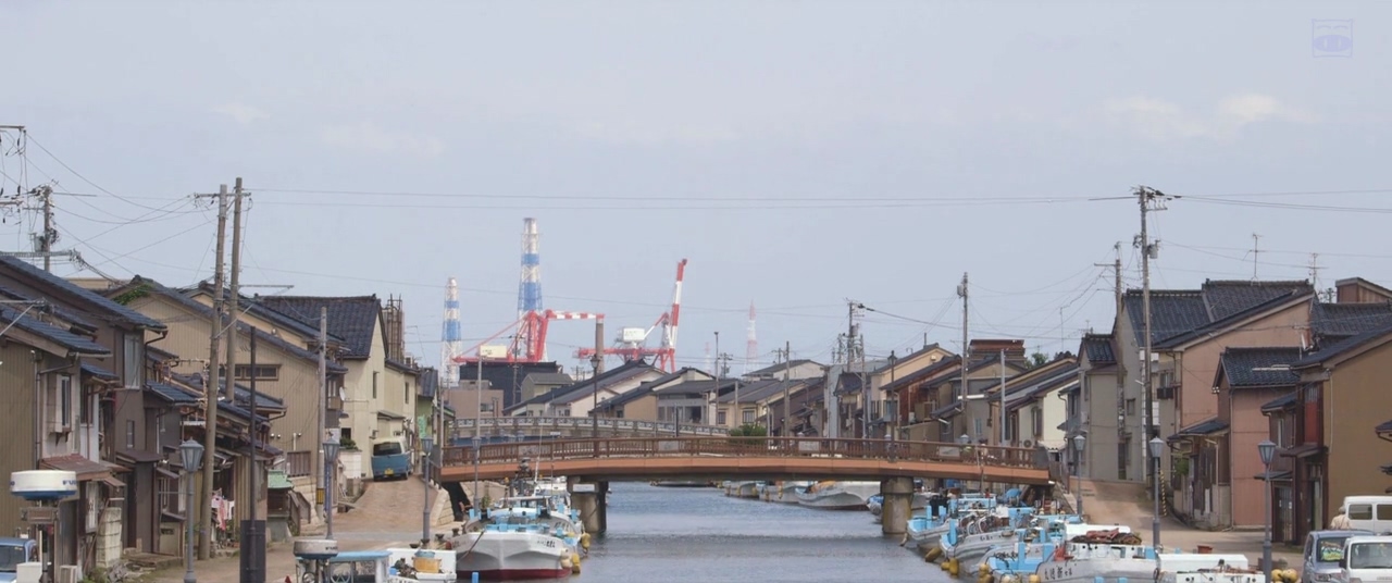 真白之恋剧照的剧照