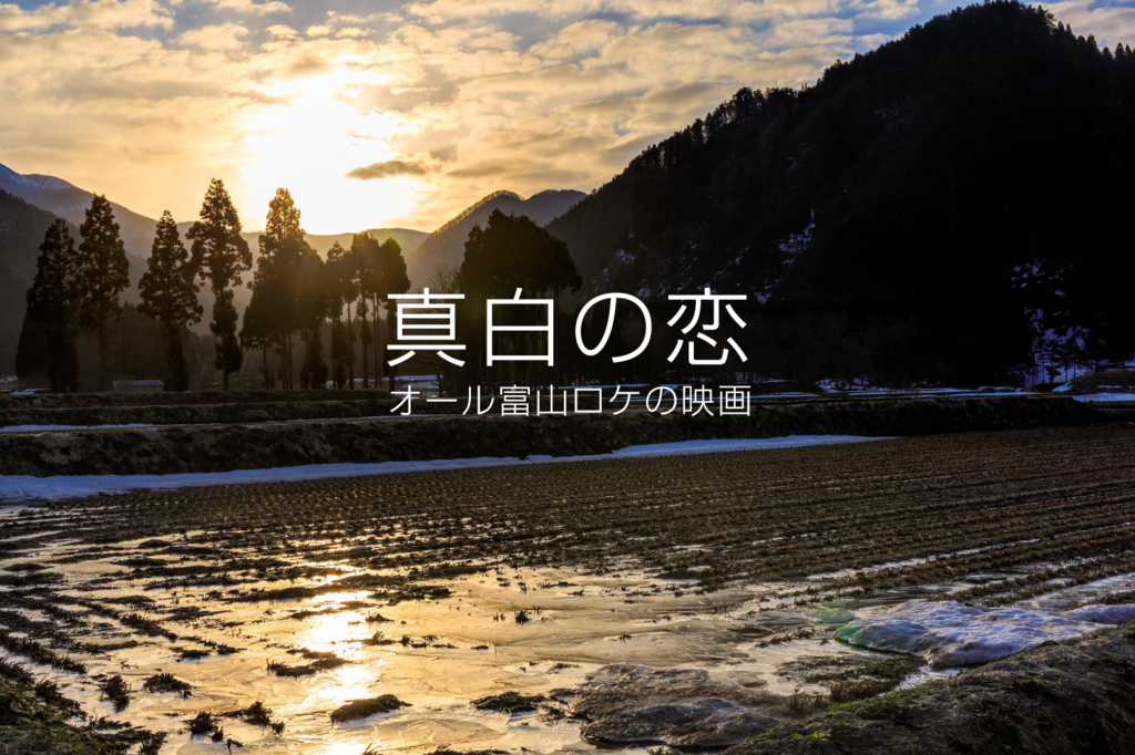 真白之恋剧照的剧照