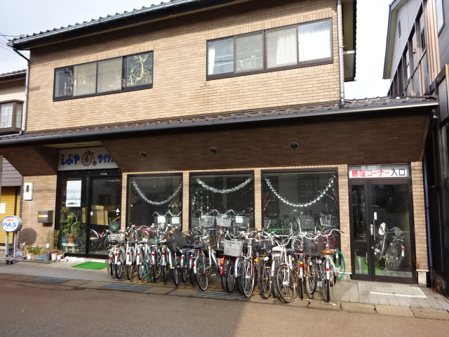 真白之恋剧照的剧照