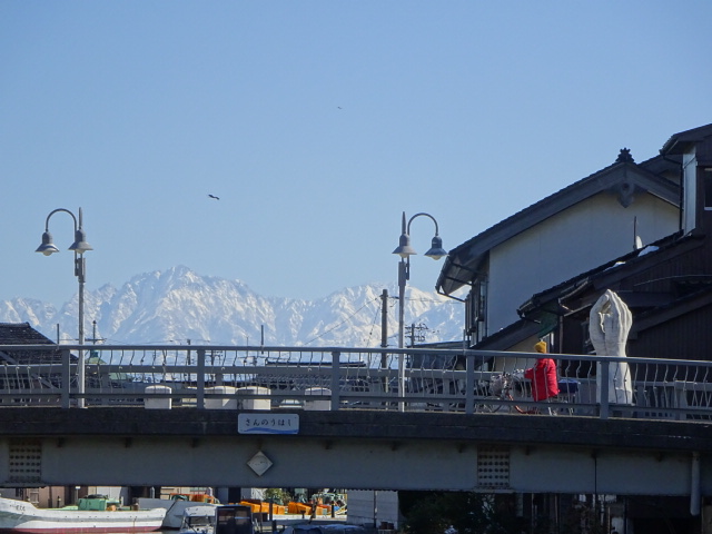 真白之恋剧照的剧照