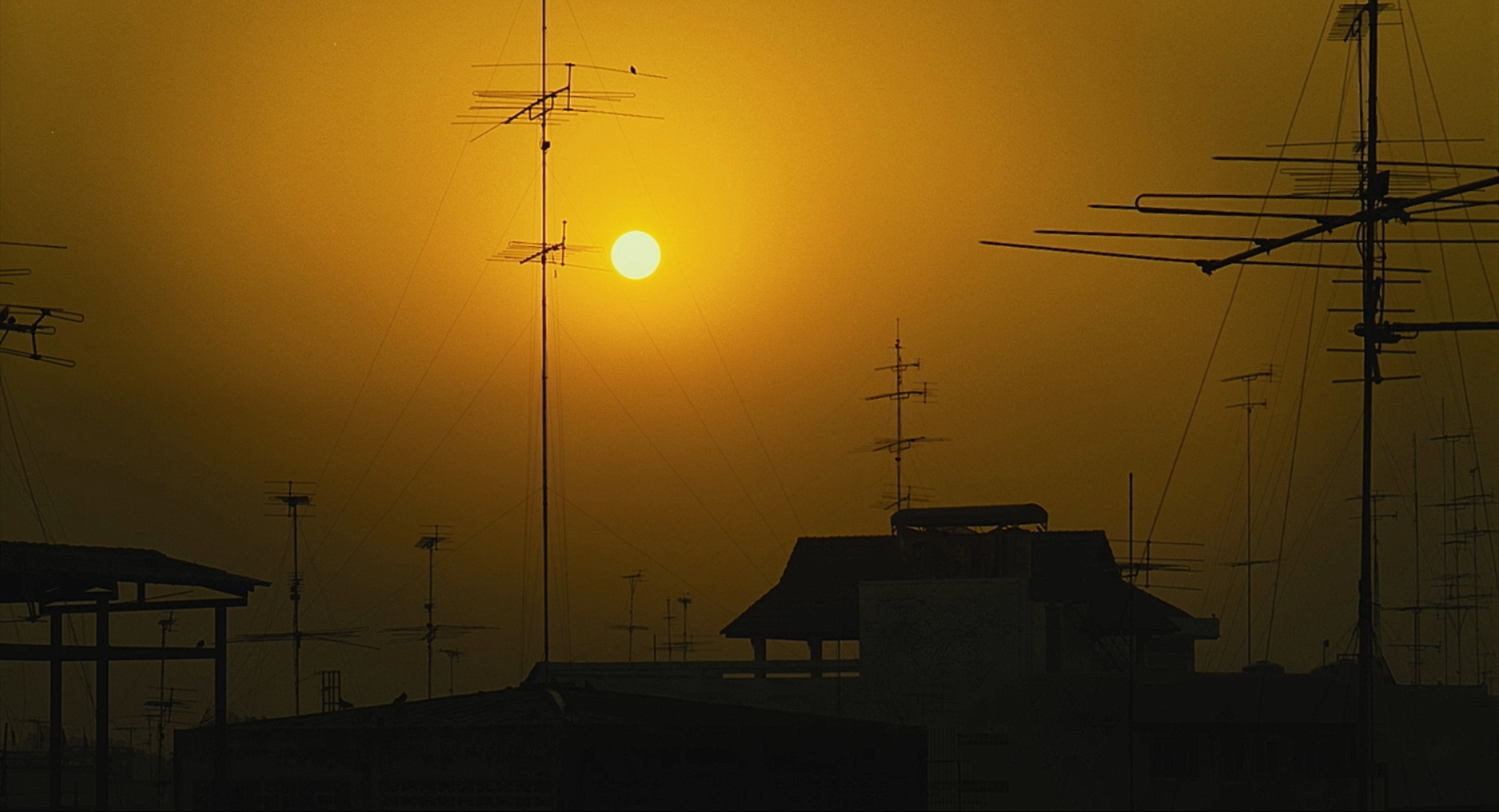 郎在远方剧照的剧照