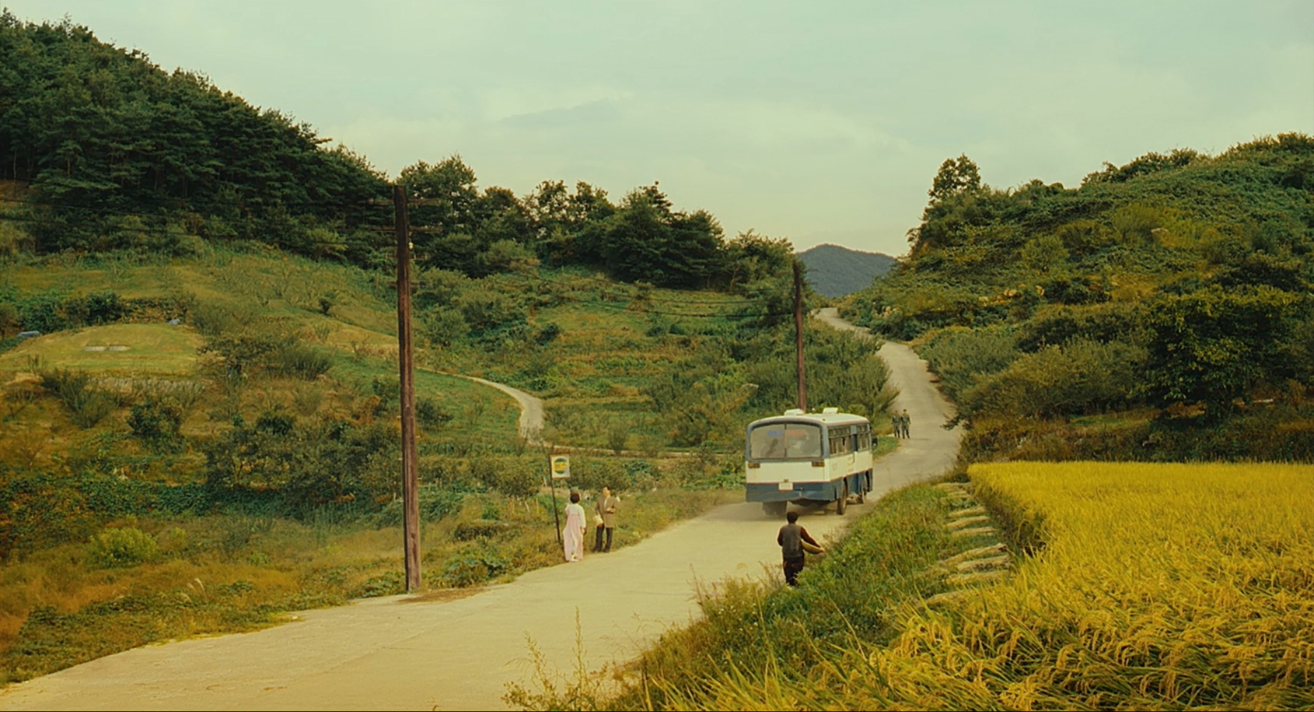 郎在远方剧照的剧照