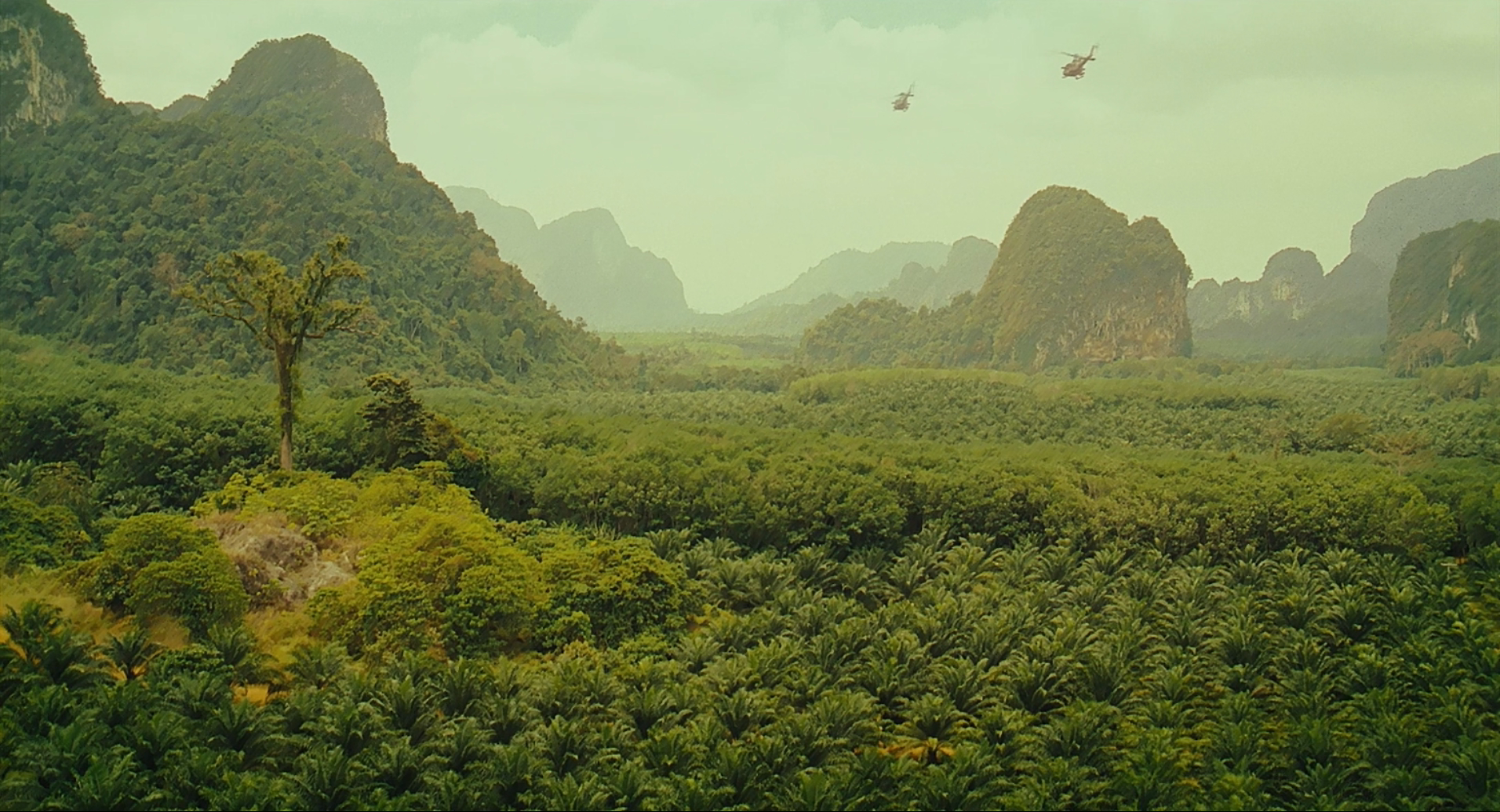 郎在远方剧照的剧照