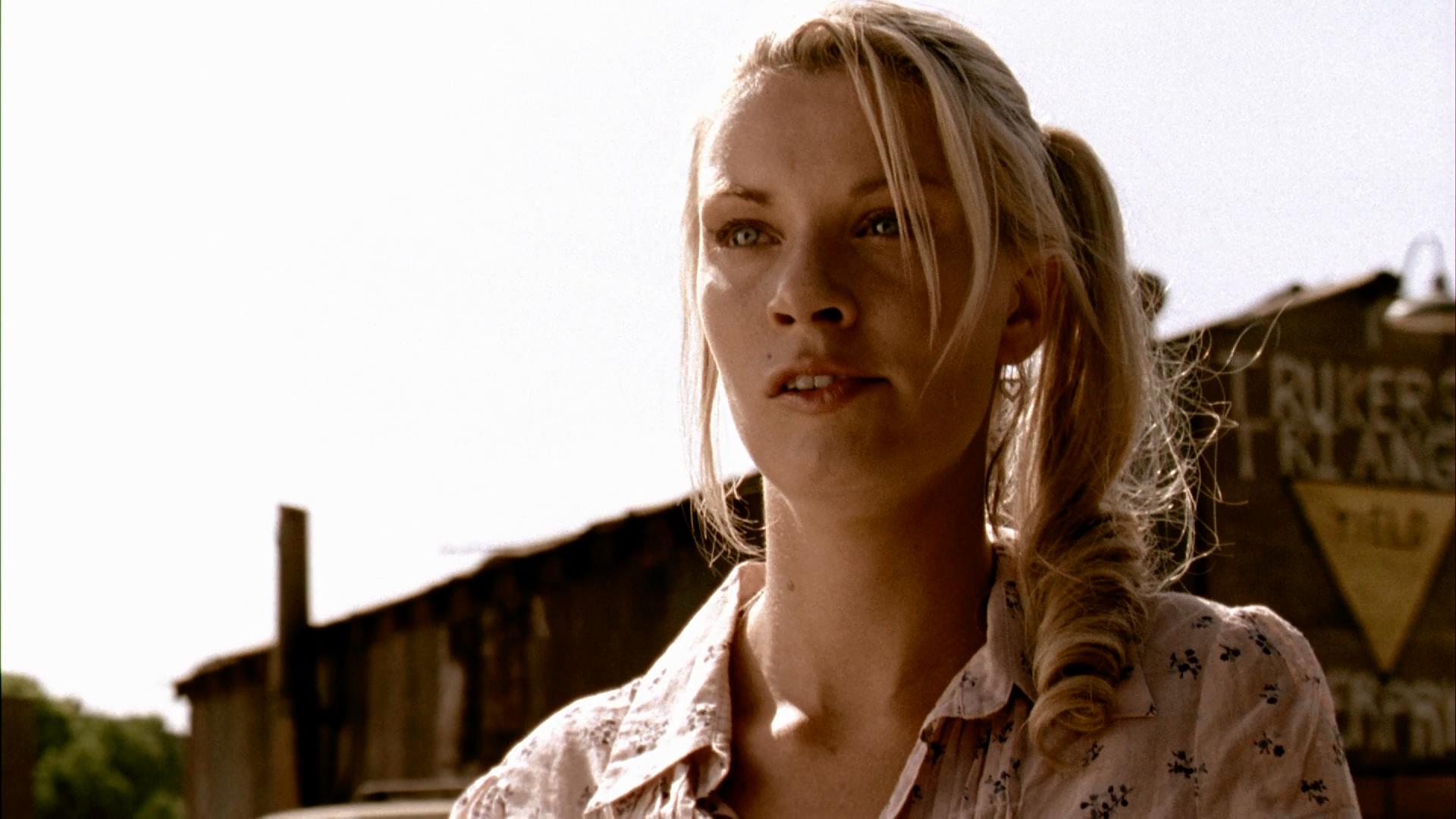 恐怖流浪公园剧照的剧照