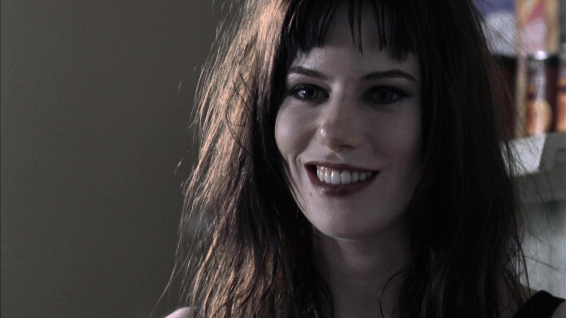 恐怖流浪公园剧照的剧照