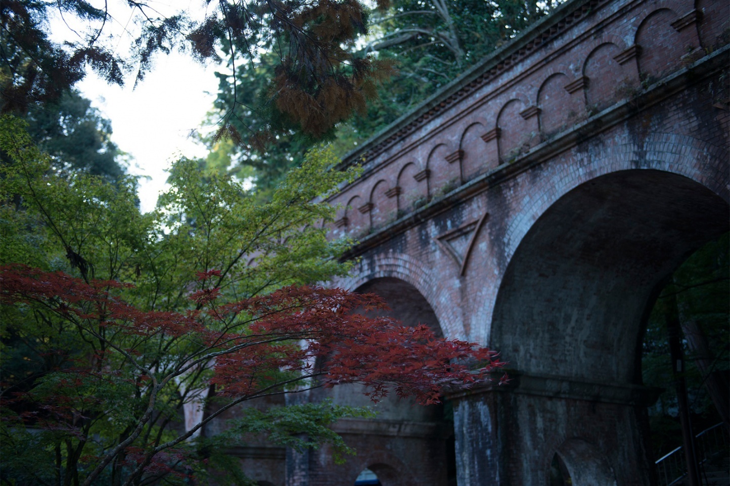 古都剧照的剧照