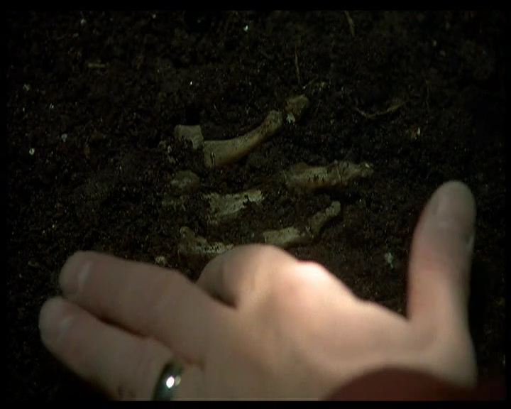 夺魄冤魂剧照的剧照