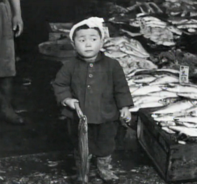 反安保：艺术之战剧照的剧照