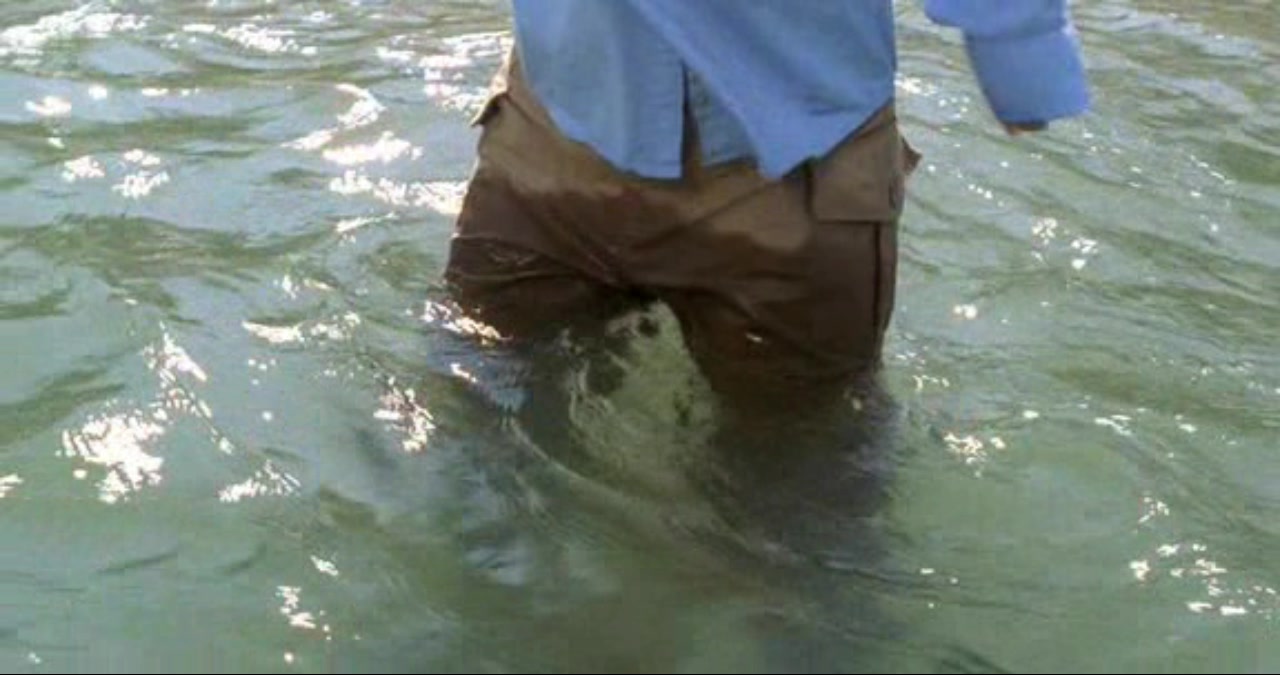 菊花香剧照的剧照