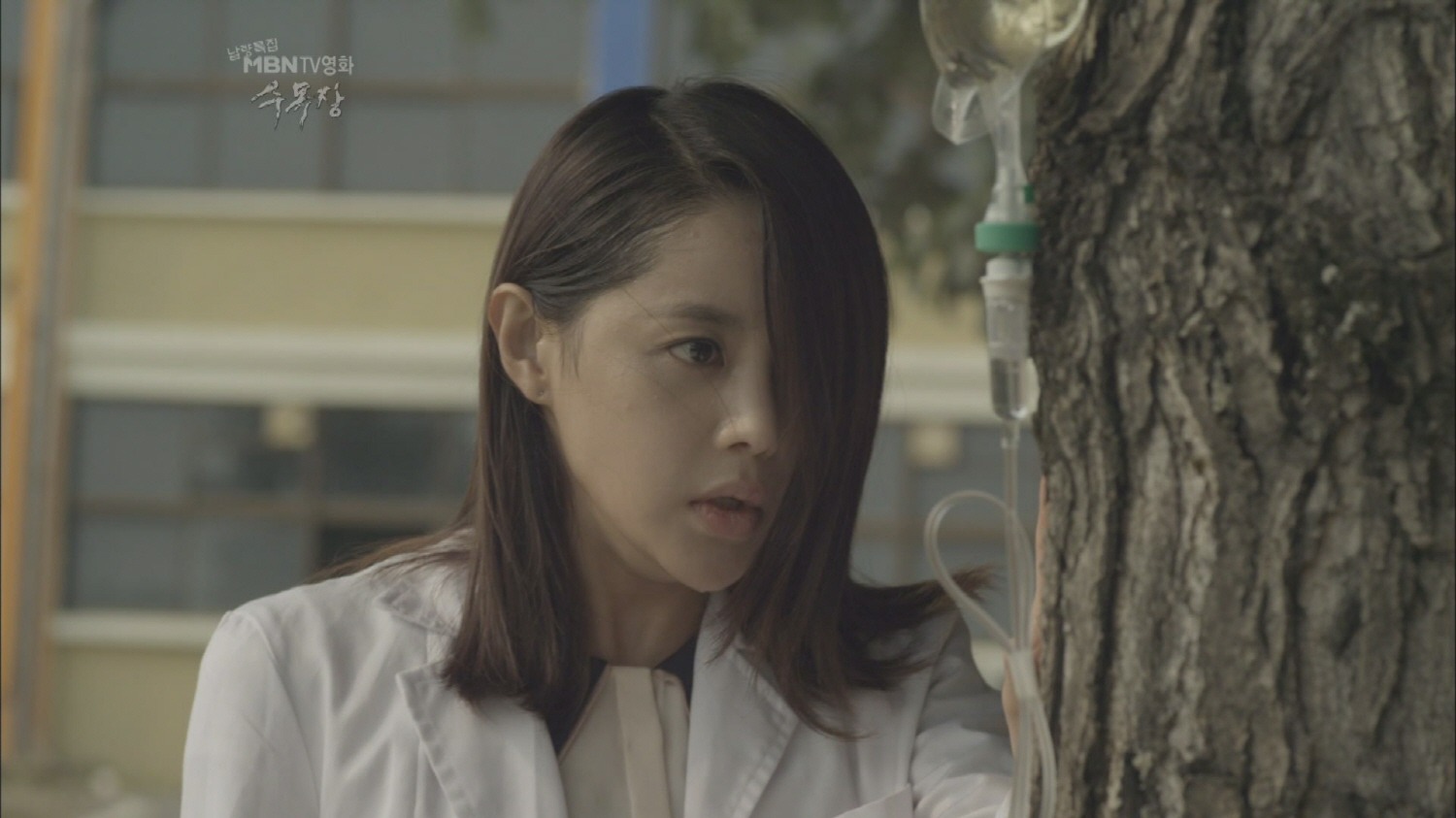 树木葬剧照的剧照