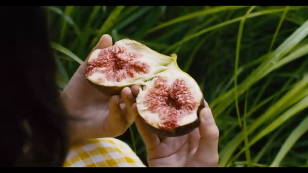 蜗牛餐厅剧照的剧照