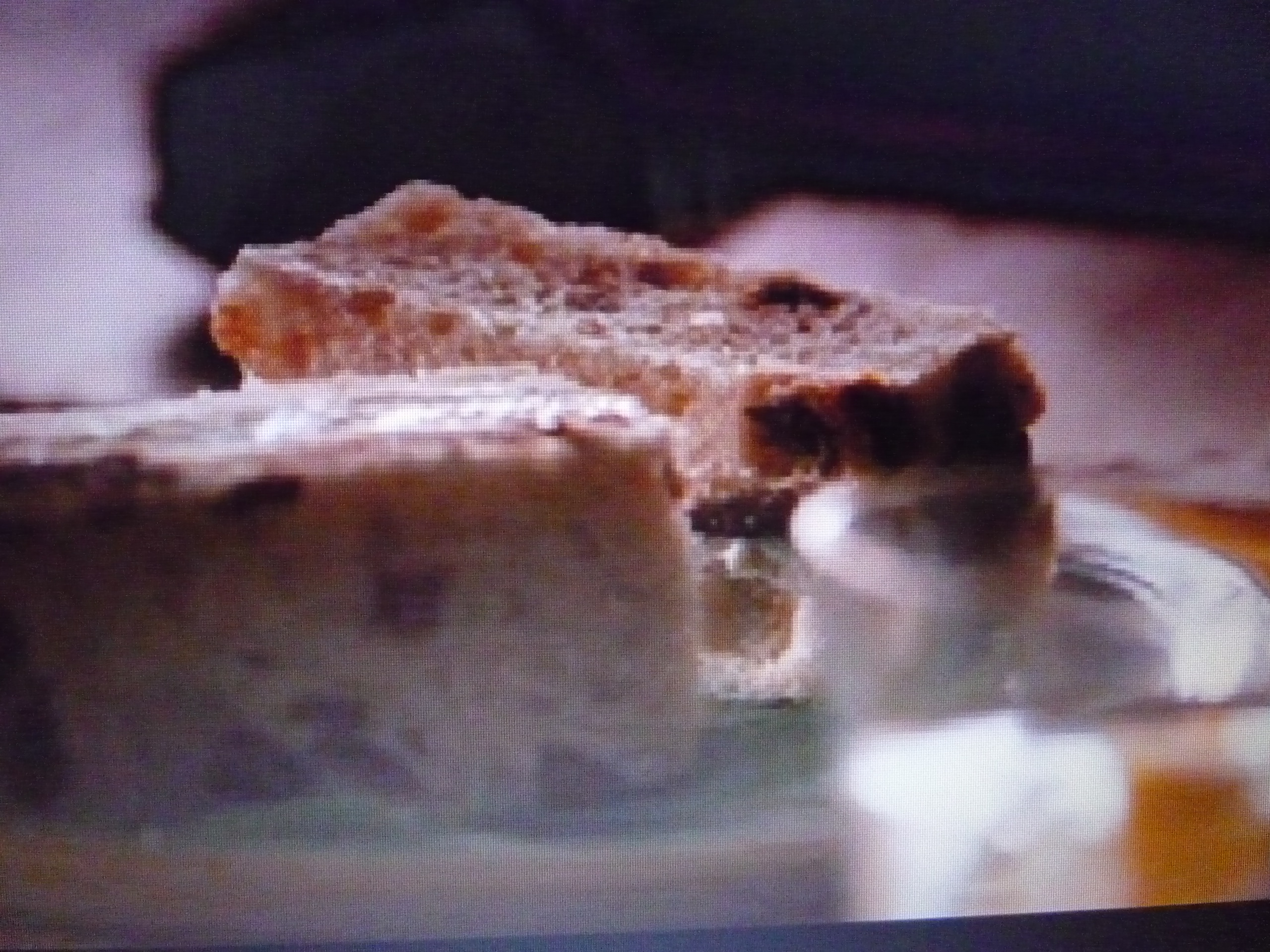 蜗牛餐厅剧照的剧照