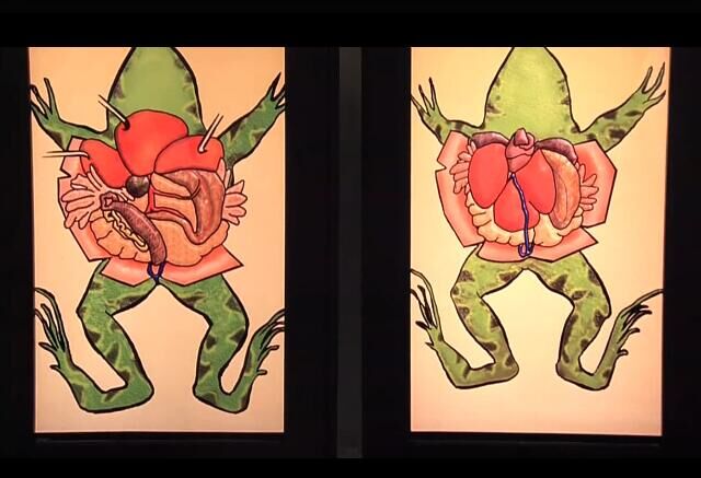 我恨你的十件事剧照的剧照