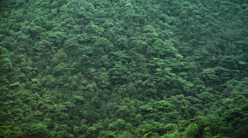 监狱风云2：逃犯剧照的剧照