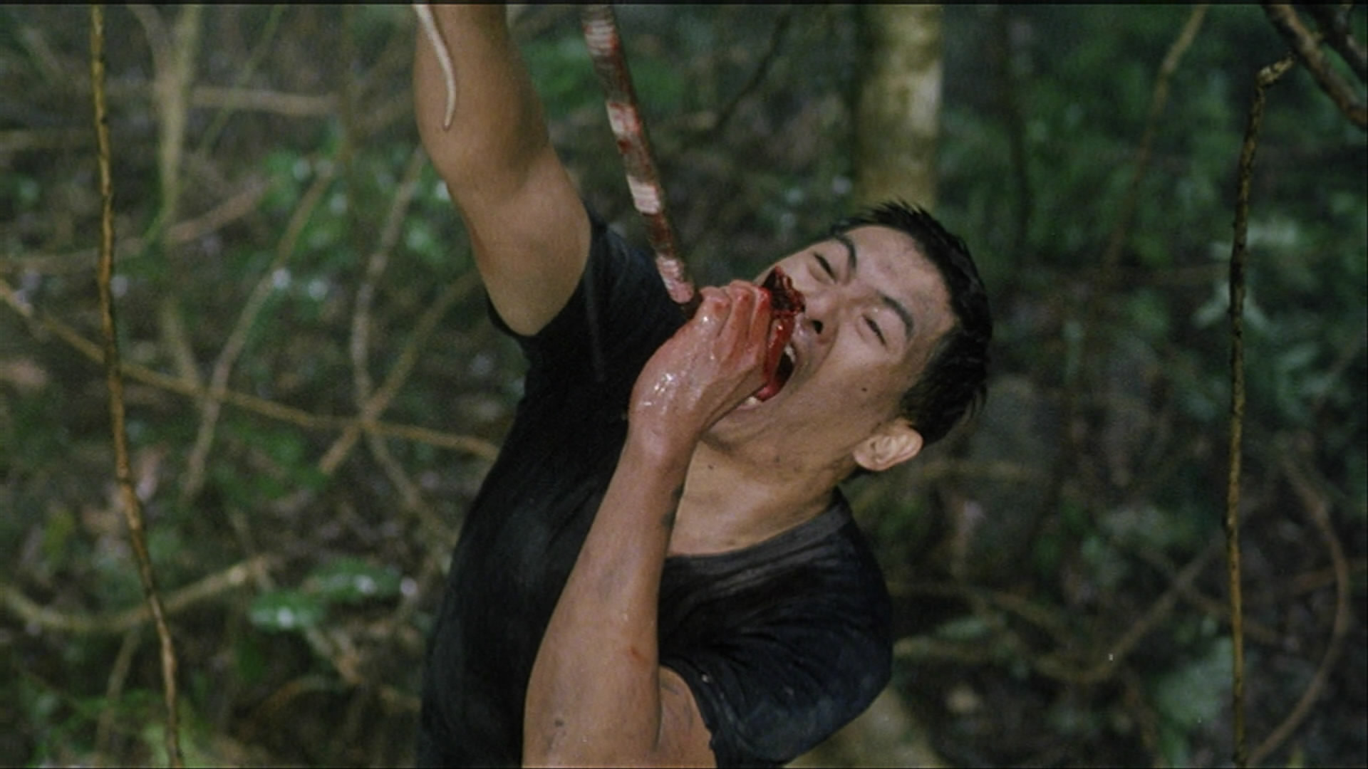 监狱风云2：逃犯剧照的剧照