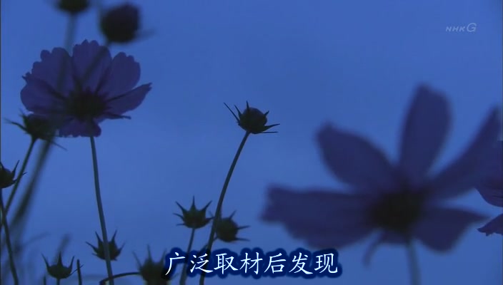 无缘社会 - 创建新的联系剧照的剧照